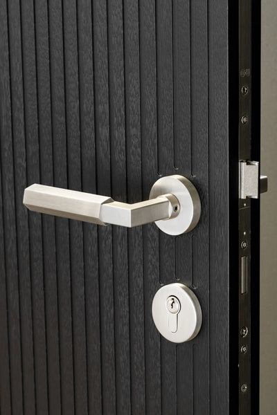 Satin Nickel / Satin Nickel