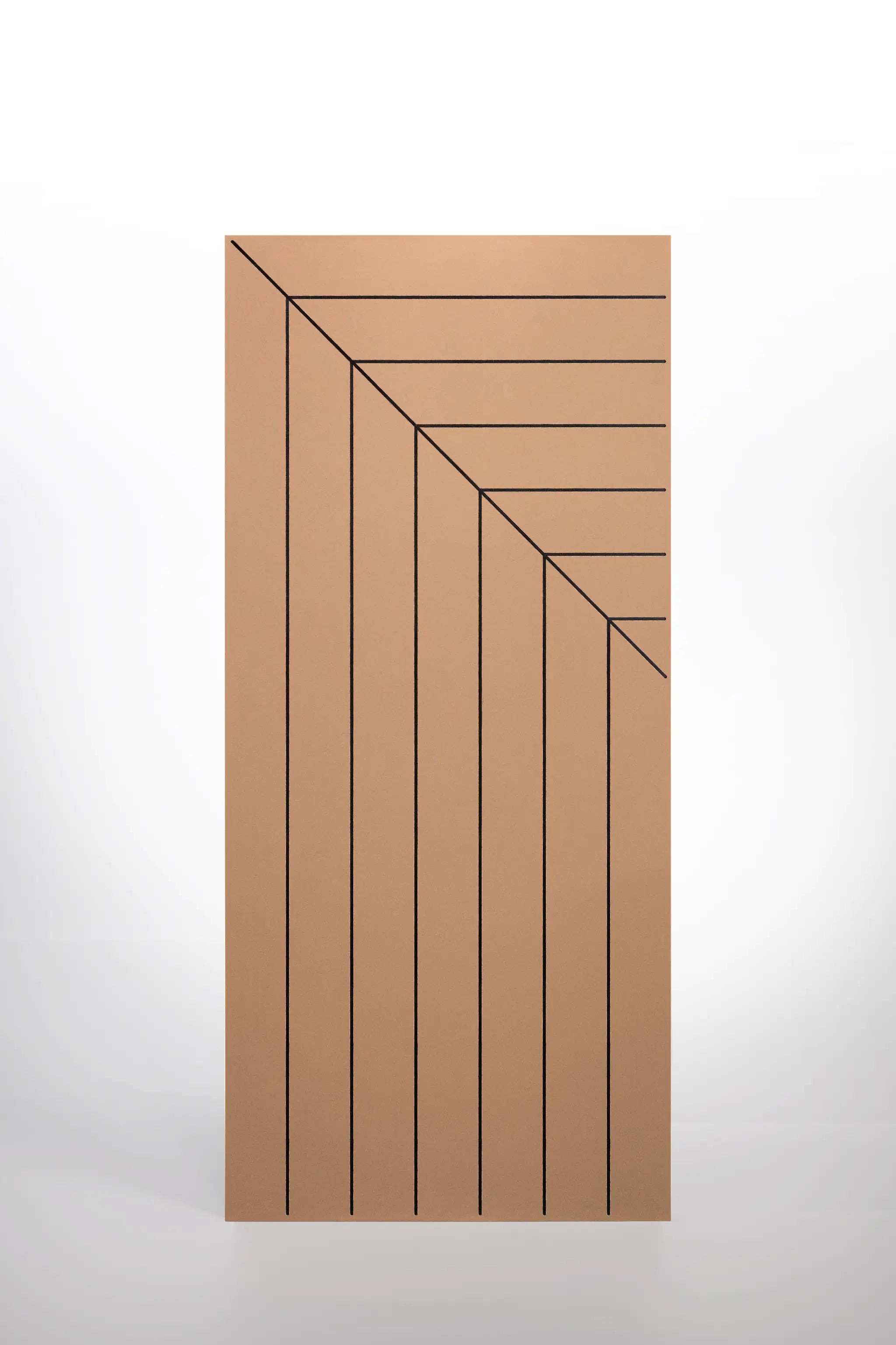 Viking Fiberglass Entry Door